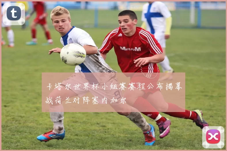 卡塔尔世界杯小组赛赛程公布揭幕战荷兰对阵塞内加尔